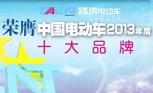 踏浪电动车 2013最具成长潜力品牌