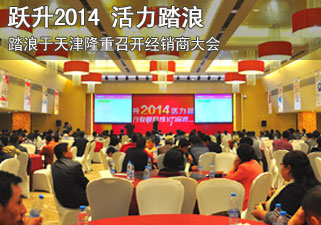 跃升2014 活力踏浪 行业最具成长力品牌