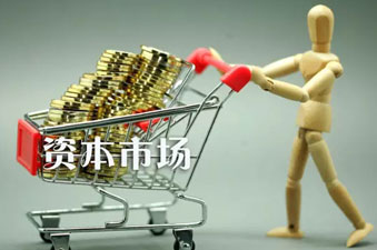 不进资本市场，电动车龙头企业发展将受到哪些限制？
