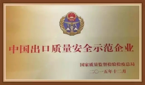 “学霸”雅迪年底晒大奖，小伙伴你的呢？