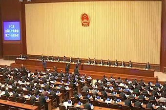 一辆电动自行车牵动全国人大常委会