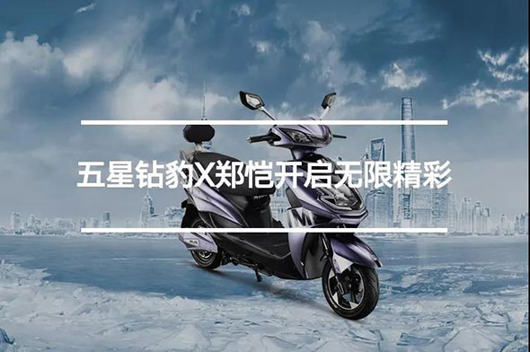 当小猎豹遇上五星钻豹！