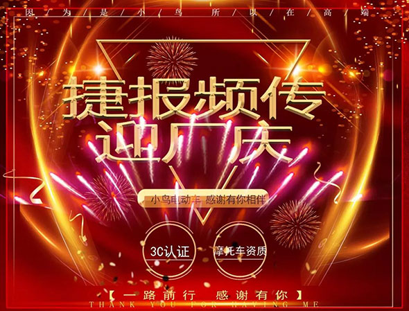 扎根电动车行业十四载！小鸟展翅高端，注定不凡！