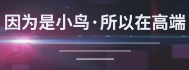 爱迪生73号，原创与简约的精彩
