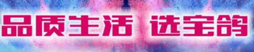 闪耀南京展，宝鸽以产品引爆市场，终端持续热销志在必得！