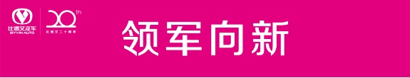 大变局中领军向新， “来势汹汹”|电动汽车行业标杆2021将再创不凡
