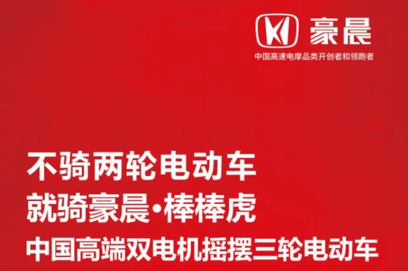 豪晨双电机摇摆三轮车D100，秒杀价1X99元抄底抢购中