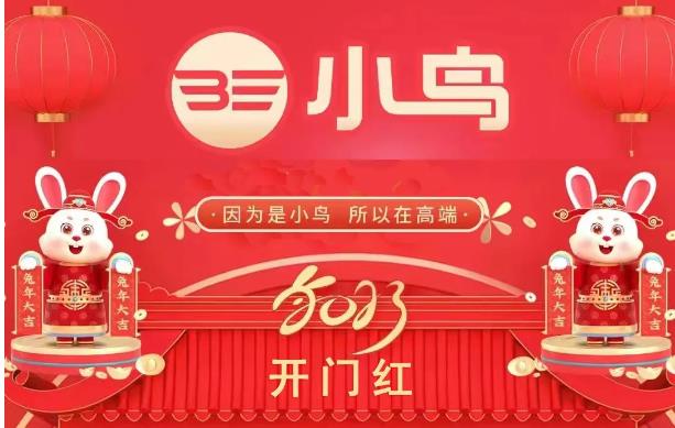 热度狂飙！小鸟强势开局，战斗力爆棚！