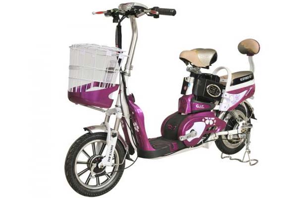 东野电动车 精彩二代