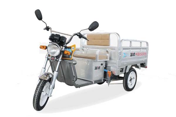 踏浪电动车 轻型货运