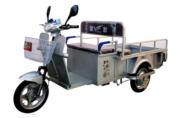 金彭电动车 神舟1号