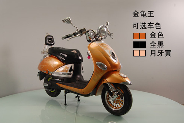 杰宝大王电动车 金龟王