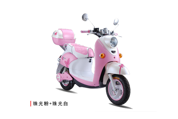杰宝大王电动车 小龟王