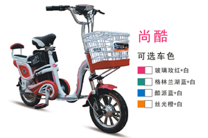 杰宝大王电动车 尚酷