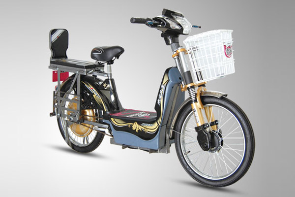 杰宝大王电动车 载重王