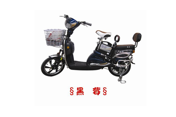 快虎电动车 黑莓
