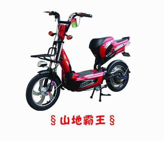 快虎电动车 山地霸王