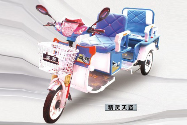 盛象电动车 精灵天资
