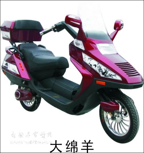 大绵阳