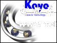 供应KOYO进口轴承
