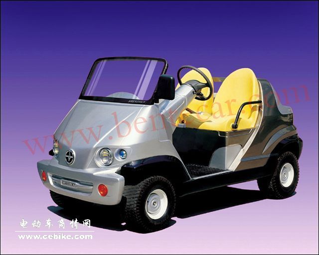 供应两座电动观光车