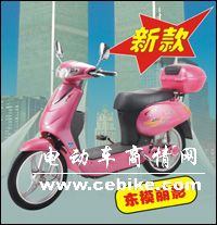 供就东模丽影款电动车塑件