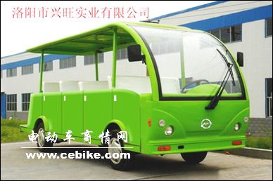  内燃观光车