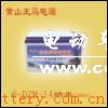 供应王马纳米电动车电池
