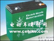 皖凤牌蓄电池