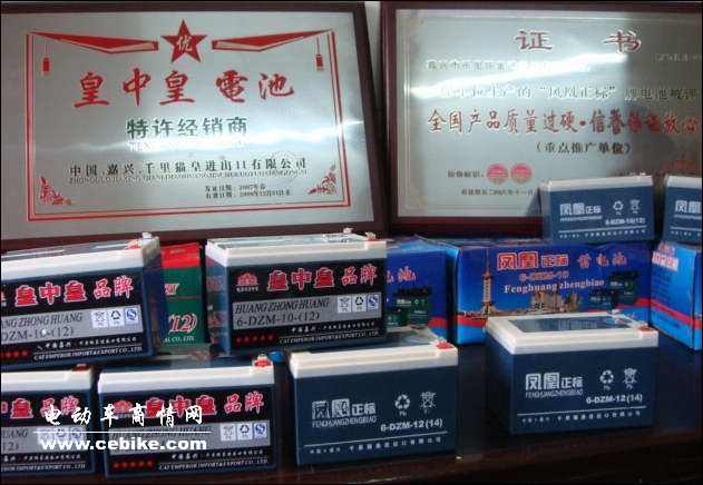 上海凤凰正标电池诚招全国经销商!