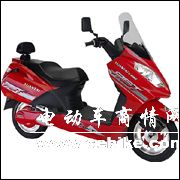 南方小羚羊电动自行车