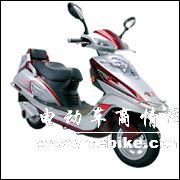南方小羚羊  国家免检产品