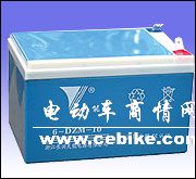 天能电池6—DZM—10