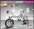 丽影