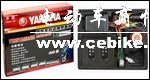 摩托车专用防盗器