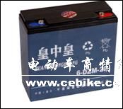 供应皇中皇电池20AH