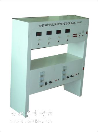 山东全自动智能语音蓄电池修复仪器