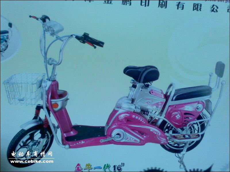 供应简易款电动车  