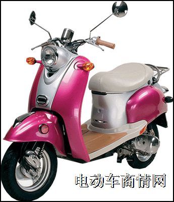 小龟王