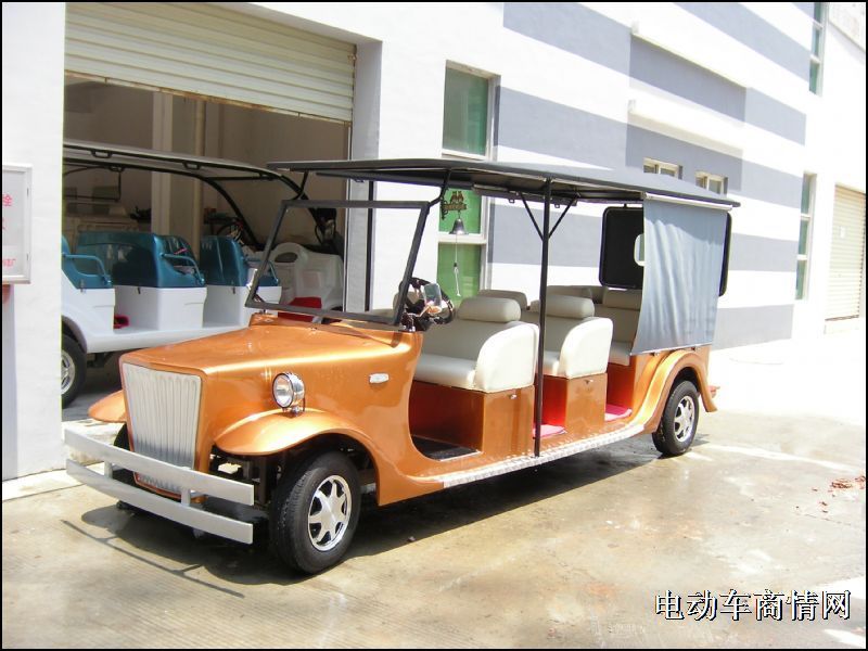 豪华贵宾车