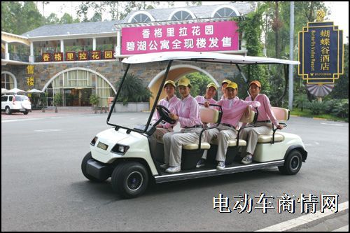 供应绿通电动车/观光车/游览车/电动车