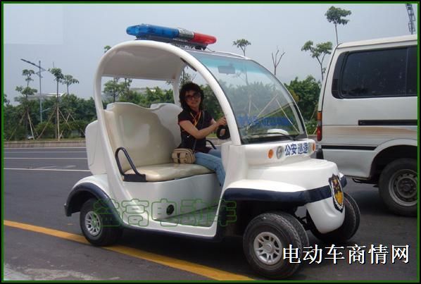 供应西安2座电动巡逻车,西安电动巡逻车