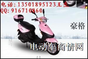 厂家直销雅迪豪格电动车