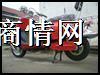 大龟王
