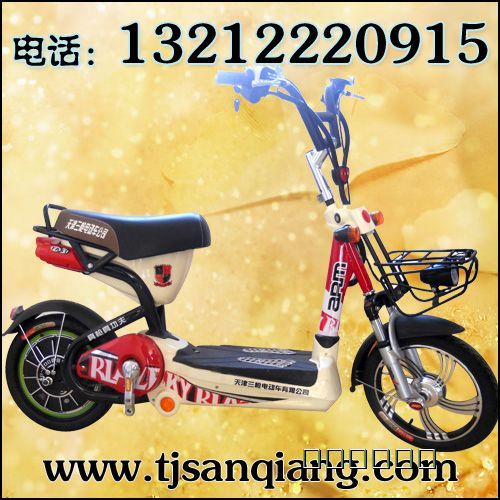 14”卡扎菲电动车