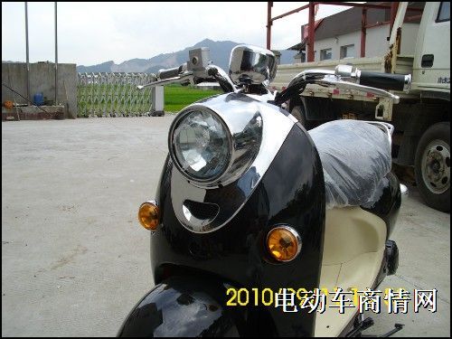 欧版小龟王