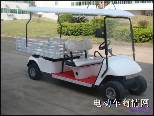 广东海南电动高尔夫球车