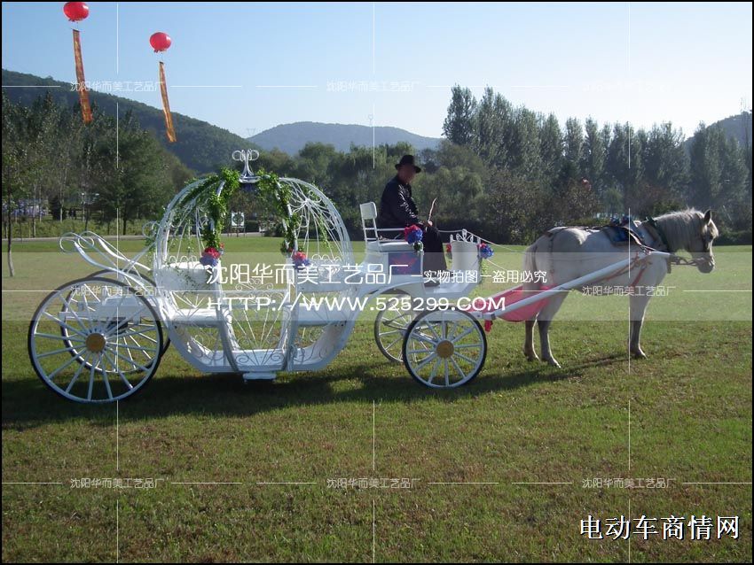 马拉南瓜马车