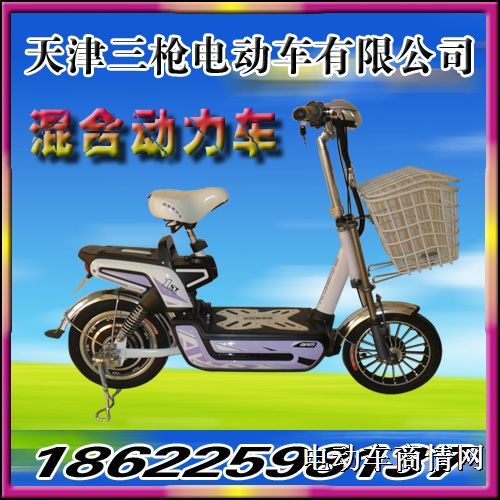 供应天津简易款符合新国标电动车（天津三枪电动车公司）