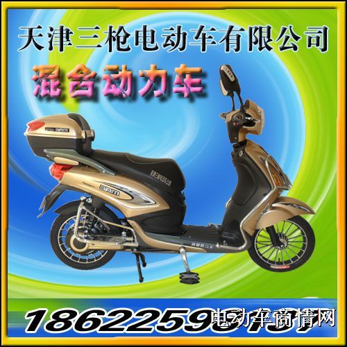 供应天津小型款符合新国标电动车